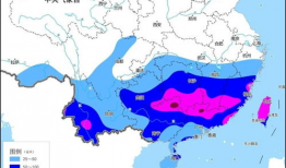 精品区国产,精品区国产生态圈概览